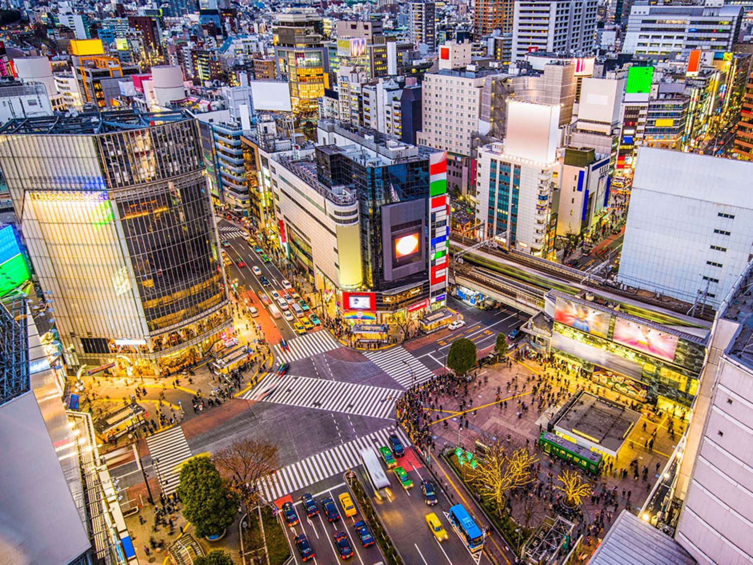 Top Things To Do in Tokyo Context Travel